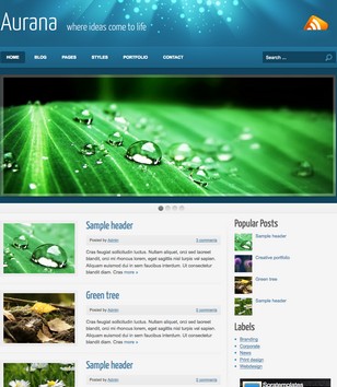 Aurana Magazineblogger template