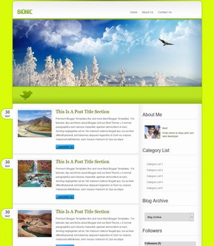 Bionic Magazineblogger template