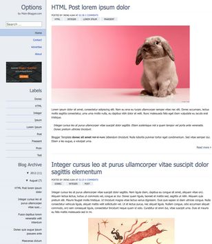Chrome Optionsblogger template