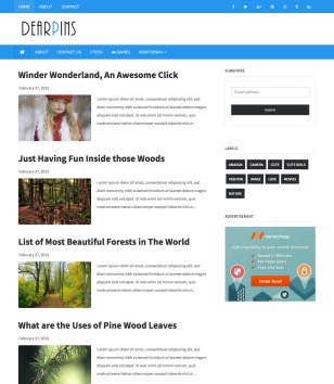 Dearpinsblogger template