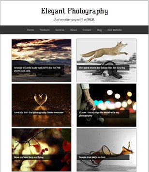 Elegant Photographyblogger template