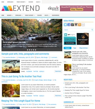 Extend Magazineblogger template