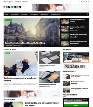 Fenomenblogger template