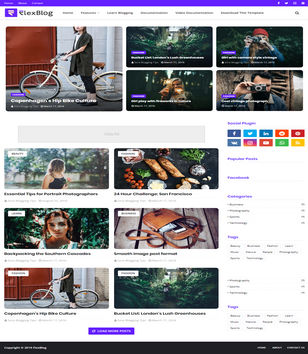 FlexBlogblogger template