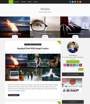 iGenius Photographyblogger template