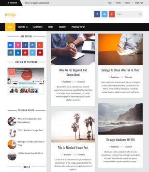 Indigo Newsblogger template