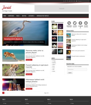 Jarid Magazineblogger template