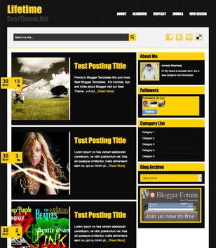 Lifetimeblogger template