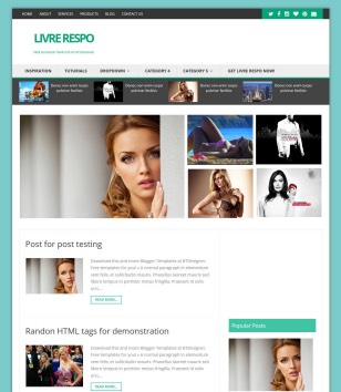 Livre Respoblogger template