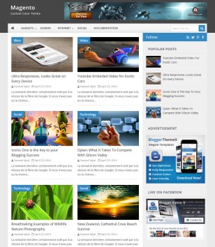 Magentoblogger template