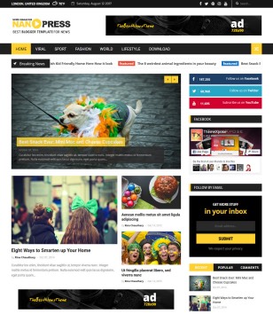 Nanopress Gridblogger template