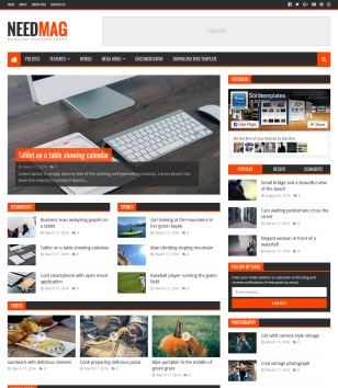 Need Magblogger template