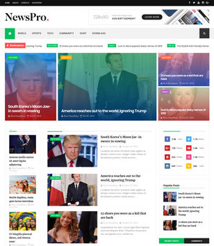 NewsProblogger template