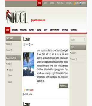 Nicolblogger template