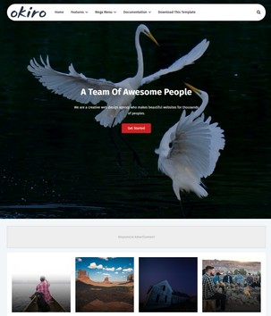 Okiroblogger template