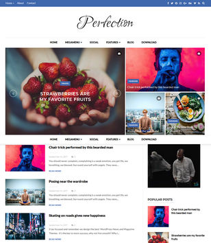 Perfectionblogger template