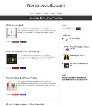 Professional Bloggingblogger template