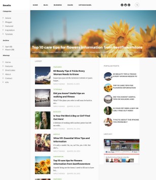 Revelioblogger template
