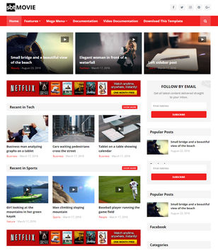 SBT Movieblogger template