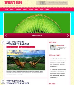 Sevrajblogger template