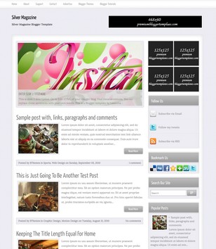 Silver Magazineblogger template