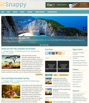 Snappy 2 Columnsblogger template