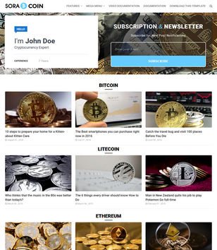 Sora Coinblogger template