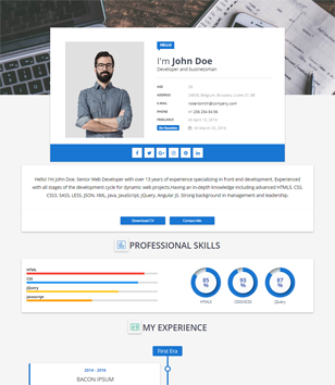 Sora CVblogger template