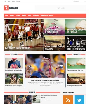 Sora Redblogger template