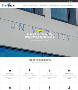 Sora Studyblogger template