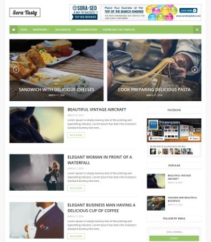 Sora Tastyblogger template
