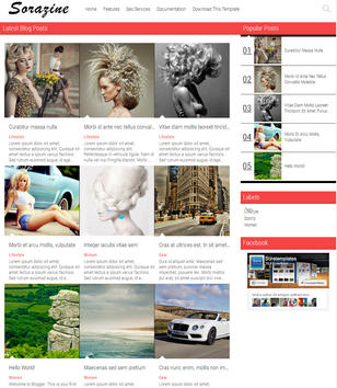 SoraZine Modernblogger template