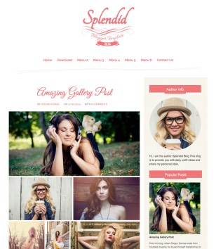 Splendid Pinkblogger template