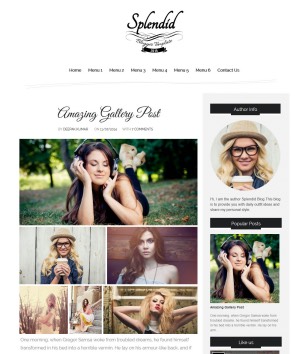 Splendid Darkblogger template