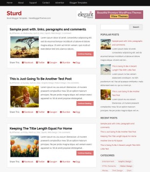 Sturd Simpleblogger template