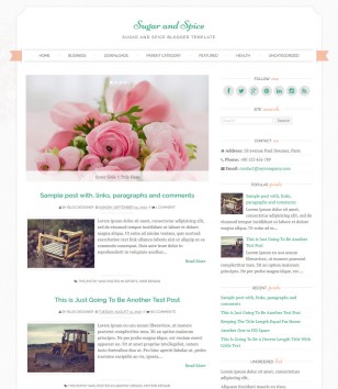 Sugar and Spiceblogger template