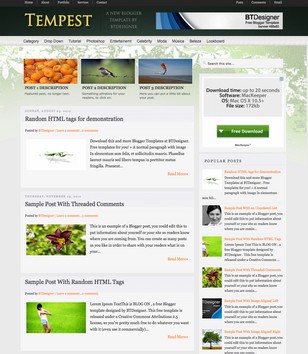 Tempest Classicblogger template