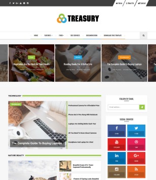 Treasuryblogger template