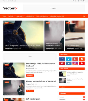Vectorblogger template