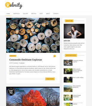 Velocity Responsiveblogger template