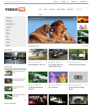 Responsive VideoProblogger template