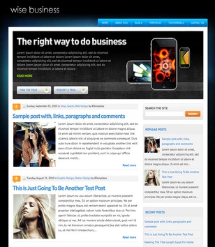 WiseBusinessblogger template