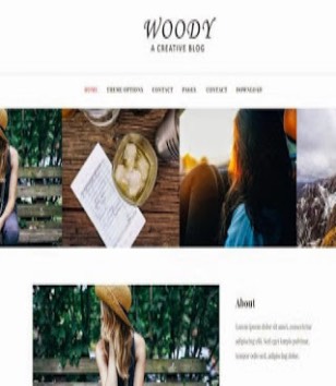 Woody Responsiveblogger template