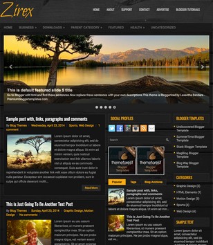 Zirex Darkblogger template